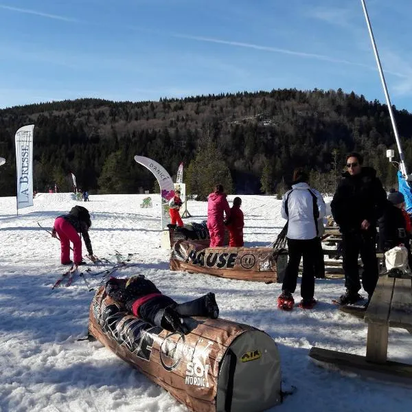 Maison de Campagne classée 3* Gites de France avec SPANAGE extérieure，位于They-sous-Montfort的酒店