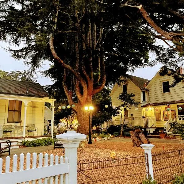 Santa Cruz Hostel，位于圣克鲁兹的酒店