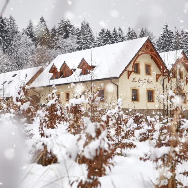 Penzion Na kraji lesa，位于瓦拉什斯凯梅济日奇的酒店