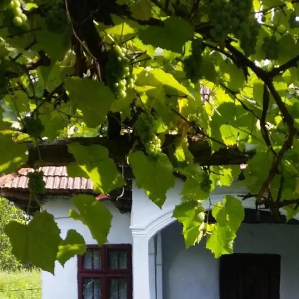 Pridvorul lui Viorel，位于Valea Lungă-Cricov的酒店