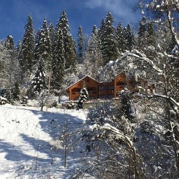 Privatna Sadiba Chalet，位于斯科列的酒店