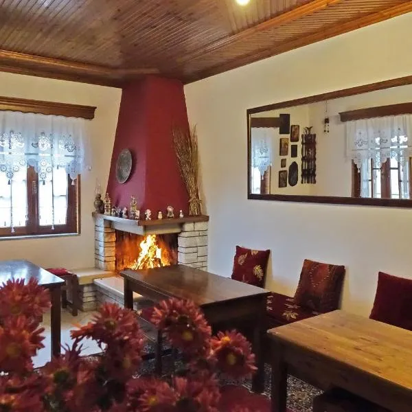 Traditional Guesthouse Alkistis，位于Zagori的酒店