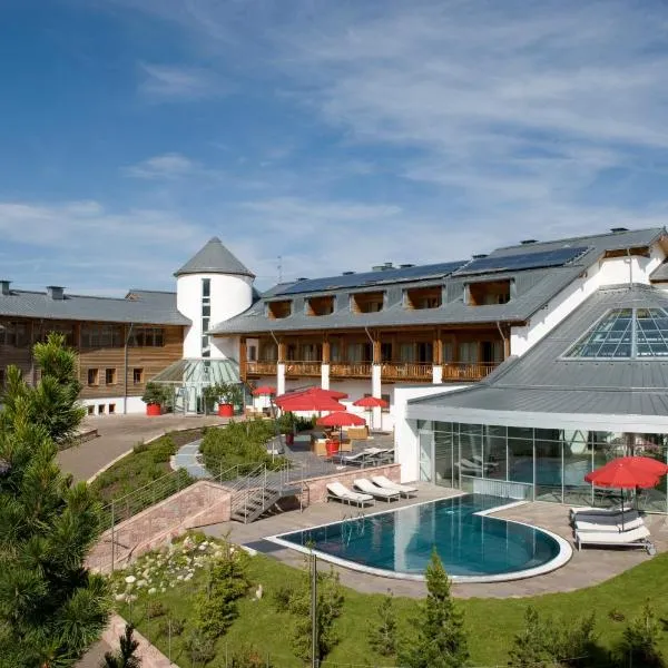 赛瑟阿尔姆尤塔勒酒店，位于阿尔卑斯休斯山的酒店