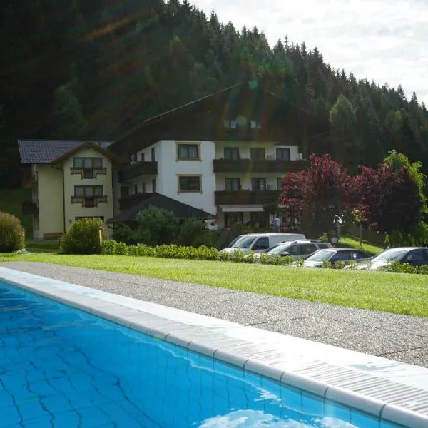 Hotel-Pension Birkenhof，位于Dellach im Drautal的酒店