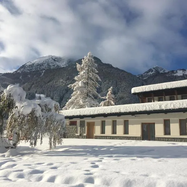 Gressoney Saint-Jean Halldis Apartments，位于格雷索圣尚的酒店