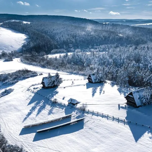 Wille Trójca，位于Trójca的酒店