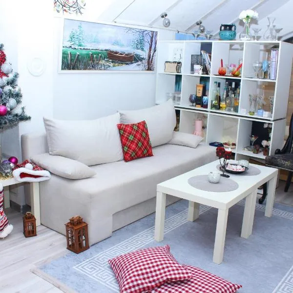 Art apartman，位于Kakanj的酒店