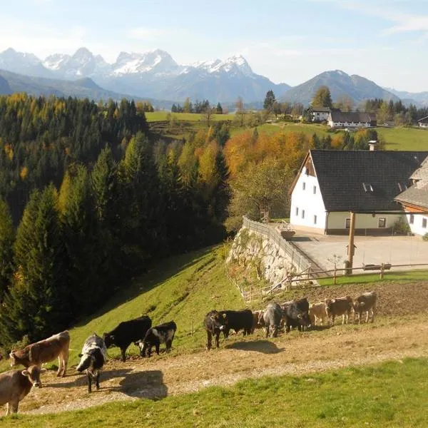 Familienbauernhof Imitz, Ferienwohnung，位于茵特斯托德的酒店