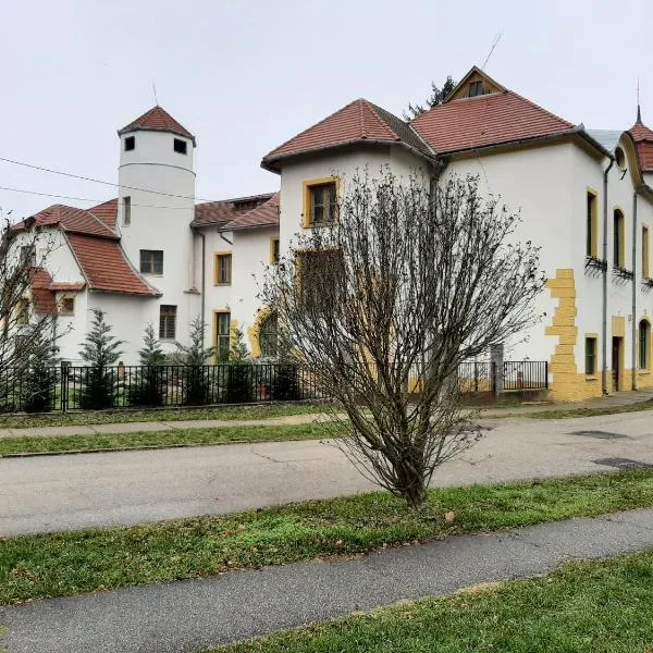 Meller-kastély Villa，位于Vizvár的酒店