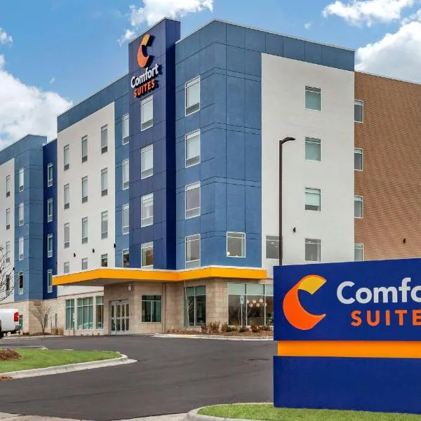 Comfort Suites Cottage Grove-Madison，位于Cottage Grove的酒店