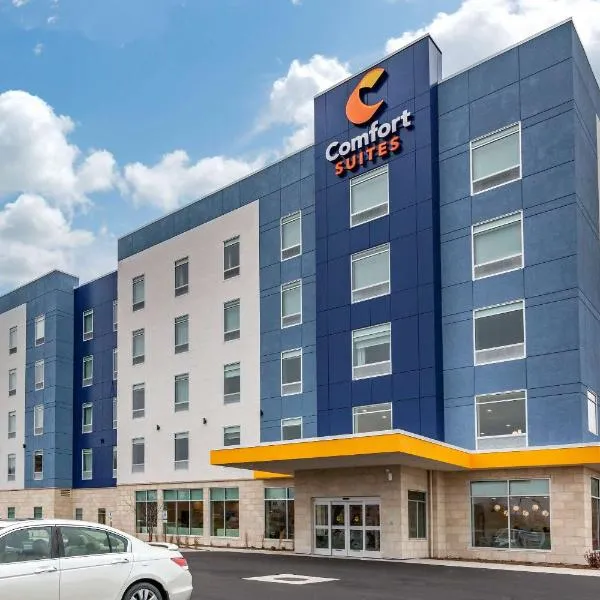 Comfort Suites Cottage Grove-Madison，位于Cottage Grove的酒店