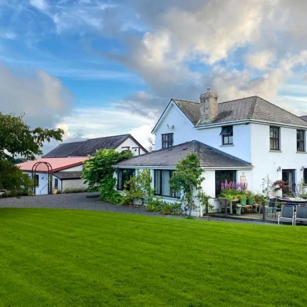 Jabajak Vineyard Restaurant & Rooms，位于Whitland的酒店