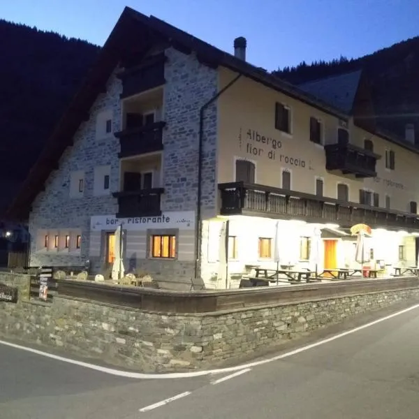 Fior di Roccia - Valmalenco - Hotel & Mountain Restaurant，位于奇萨瓦玛兰科的酒店