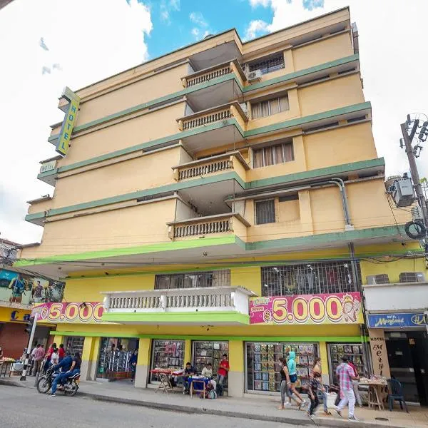 Hotel Meryland，位于辛塞莱霍的酒店
