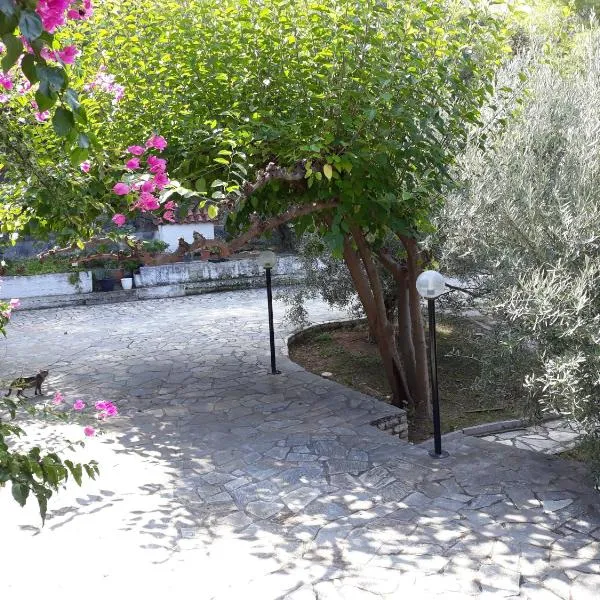 Σπίτι σε ελαιώνα, house in an olive grove，位于Ária的酒店