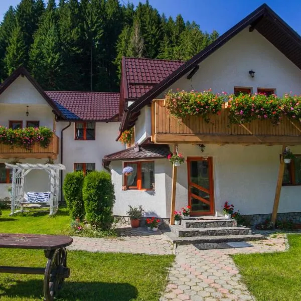 Complex Turistic Luminita，位于米奥修德萨斯的酒店