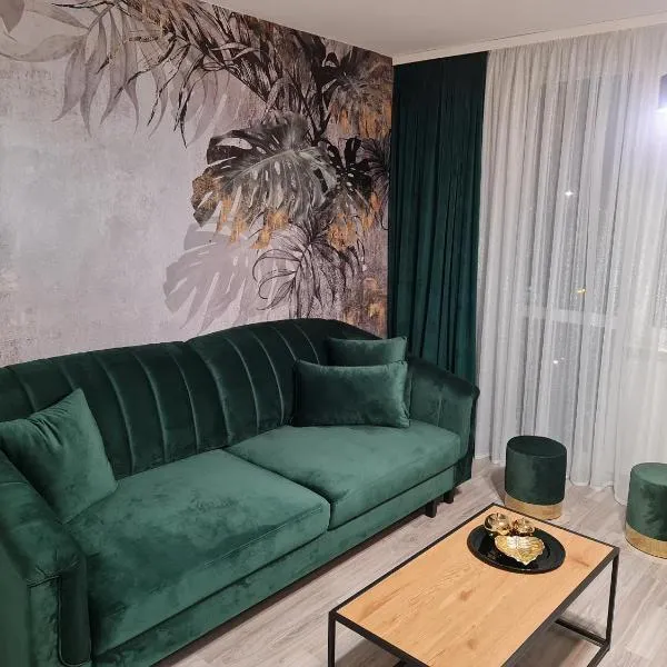 Apartament Nova przy S3，位于Kożuchów的酒店