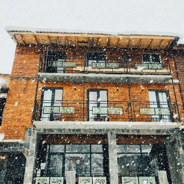 Hotel Ailama Mestia，位于梅斯蒂亚的酒店