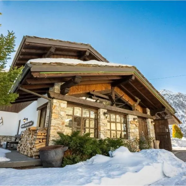 Hotel Des Alpes，位于Colle Del Gran San Bernardo的酒店