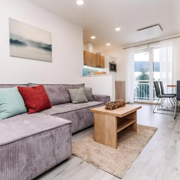 Apartment Hugo Klínovec，位于卢捷纳普德克利诺夫琴的酒店