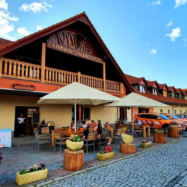 高农场酒店，位于Albrechtice的酒店