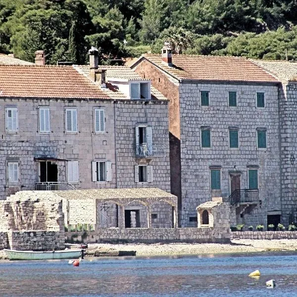 Apartments Acalinović，位于维斯的酒店