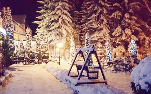 Hotel Pod Jeleniem，位于希维拉杜夫-兹德鲁伊的酒店