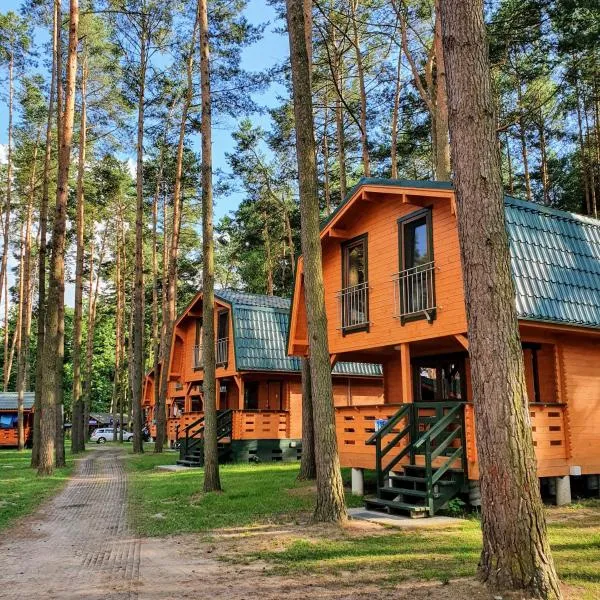 Ośrodek Wypoczynkowy Kormoran Niesulice，位于尼苏利采的酒店