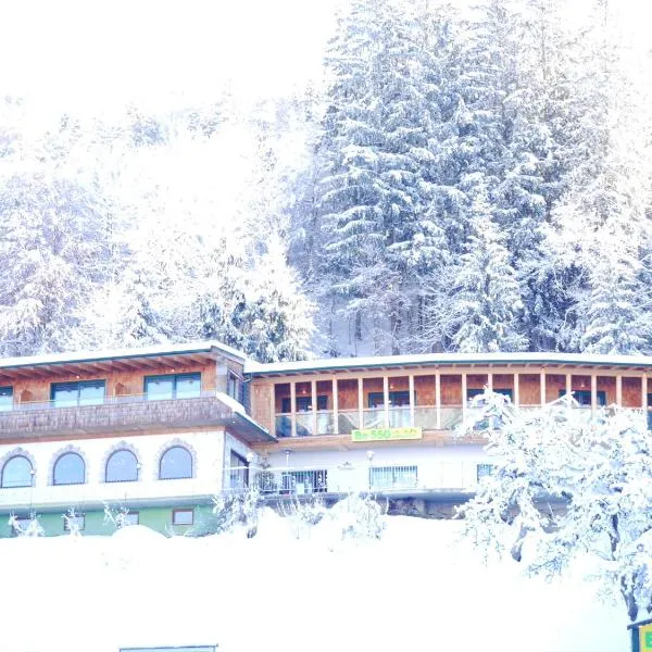 Be 550，位于沃格尔的酒店