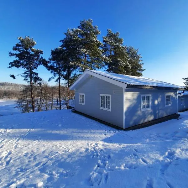 Przystań na Zagórzu - Apartamenty nad jeziorem，位于Drezdenko的酒店