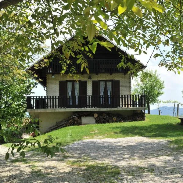 Vineyard Cottage Vrbek，位于Roginska Gorca的酒店