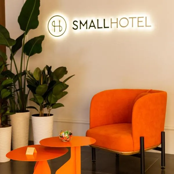 SMALL HOTEL，位于Pirogovo的酒店