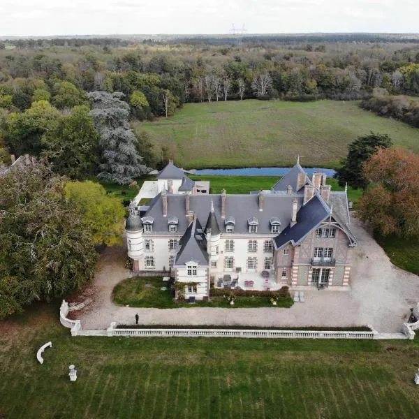 Chateau de La Faye，位于Brinon-sur-Sauldre的酒店