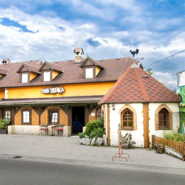 斯塔拉沃德尼采住宿加早餐旅馆，位于Vižovlje的酒店