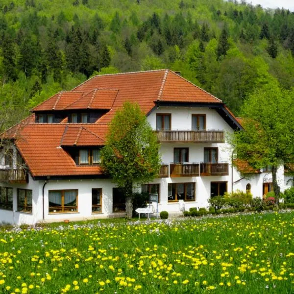 Rhön-Hotel Sonnenhof - Restaurant & Café，位于Weyhers的酒店