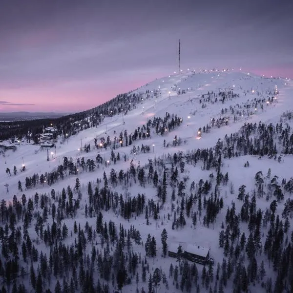 Ski-Inn PyhäLinna，位于普哈圣山的酒店