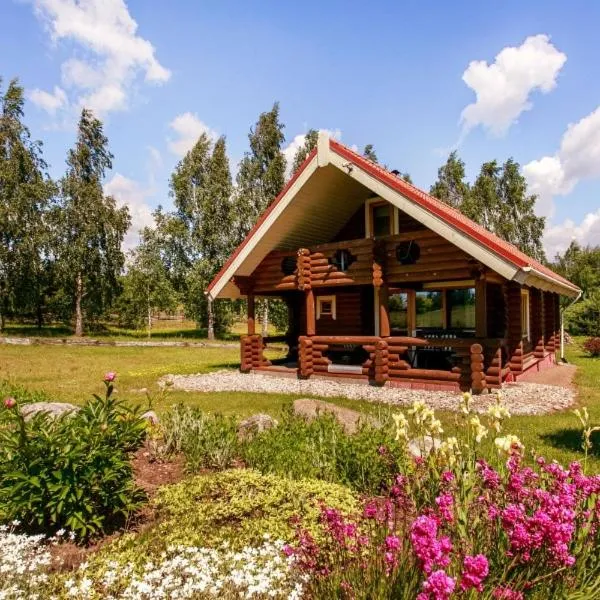 Resort by Nava Lake，位于Sarboriškės I的酒店