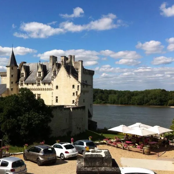 布希酒店，位于Chouzé-sur-Loire的酒店