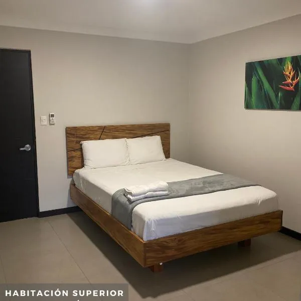 Hotel San Isidro，位于San Ramón Norte的酒店