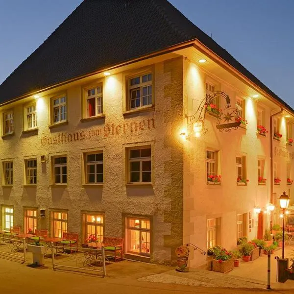 Bodensee Hotel Sternen，位于Frickingen的酒店