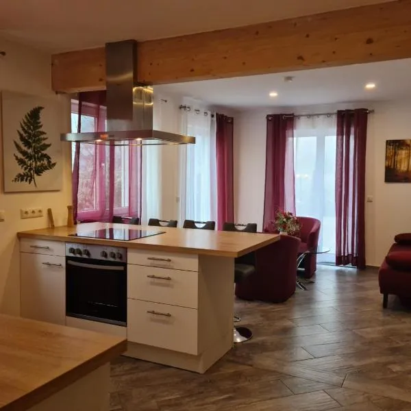 Apartment Gästehaus Staudenschloß，位于Mickhausen的酒店