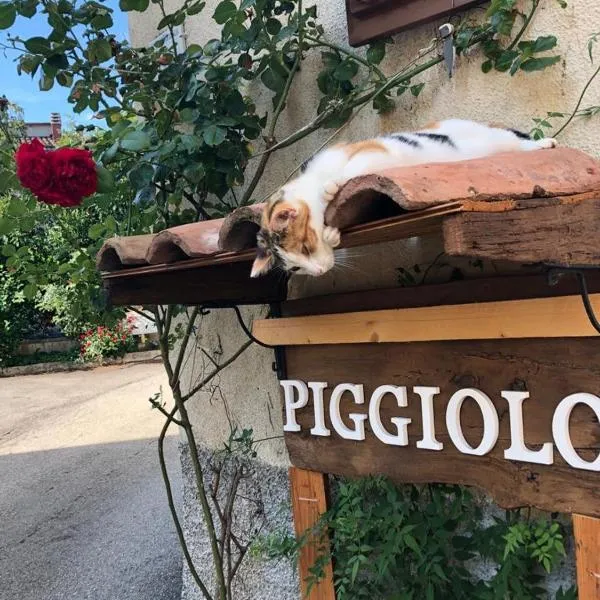 PIGGIOLO，位于Villa dʼAiano的酒店