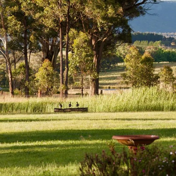 Marigold Cottage, A Blue Mountains Oasis- Spacious, Views & Kangaroos，位于Little Hartley的酒店