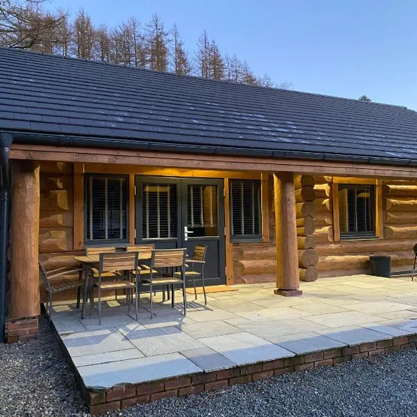 Ewes Water Log Cabins，位于Langholm的酒店