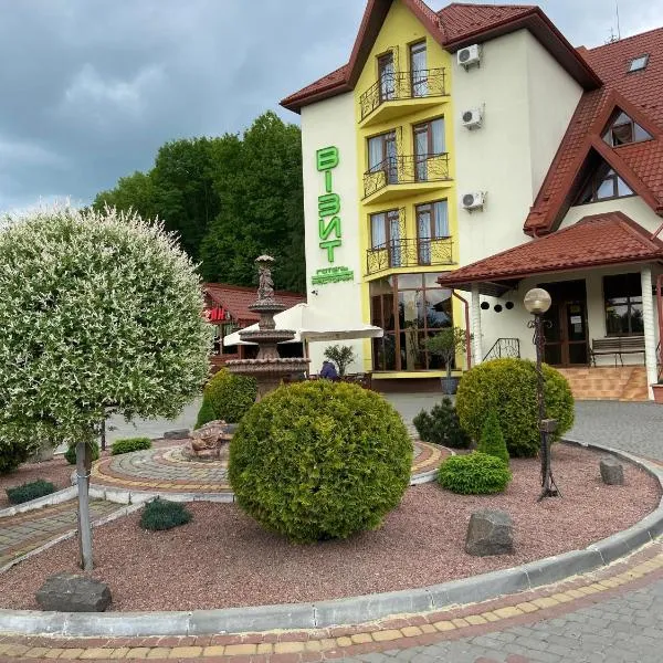Hotel Restaurant Vizit，位于斯基希德尼萨的酒店