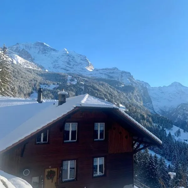 Chalet Aargovia，位于翁根的酒店