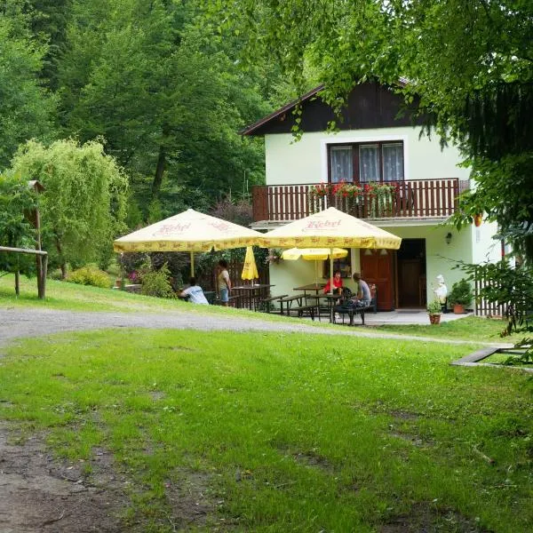 Pension U Štěpánků，位于Hněvkovice的酒店