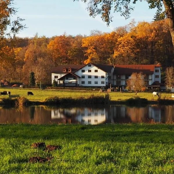 Landgasthof Rotlipp Gästezimmer，位于Glauburg的酒店