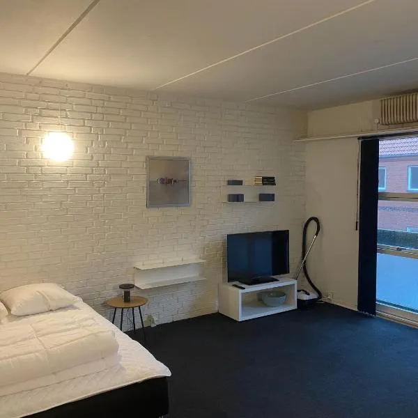 (048) Vesterhavsgade 47 door 2，位于埃斯比约的酒店