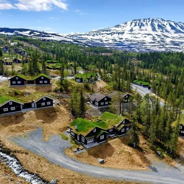 Gaustablikk hytta ski-in ski-out，位于Rjukan的酒店
